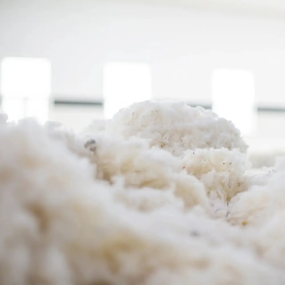 Flocons de coton recyclé prêts à être transformés en fibres textiles