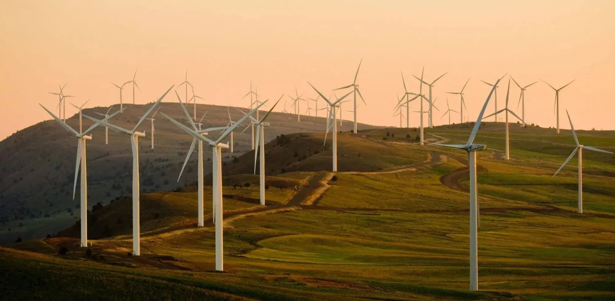 Parc éolien énergie renouvelable production électrique durable
