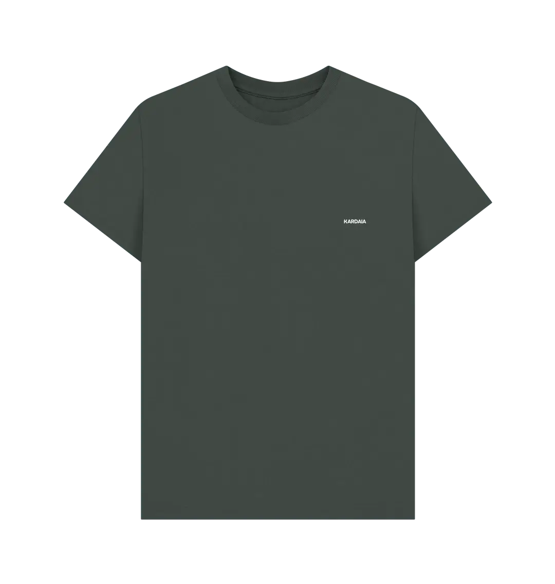 t-shirt basique gris anthracite KARDAIA en coton bio vu de face à plat